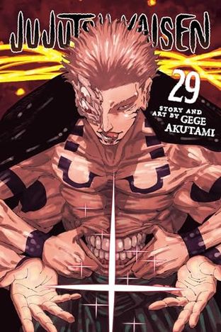 Boekomslag van Jujutsu Kaisen, Vol. 29 door Gege Akutami